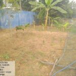 gallery_1WhatsApp Image 2021-02-22 at 8.09.16 PM